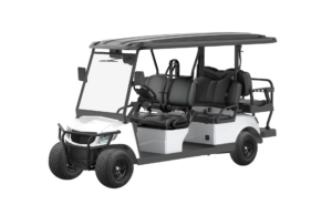 Fusion Passenger 4 + 2 Electric Cart